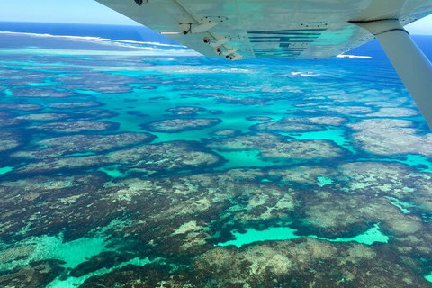 Kalbarri, Pink Lake And Abrolhos Islands Nature Tour - Restaurant Gold Coast 5