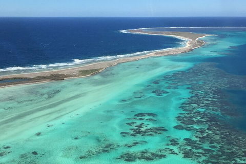 Pink Lake + Abrolhos Islands Nature Tour - Restaurant Gold Coast 2