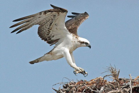 Pink Lake + Abrolhos Islands Nature Tour - Restaurant Gold Coast 3