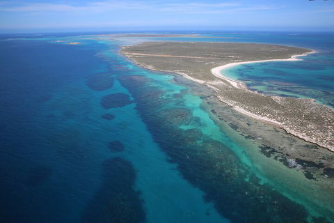 Pink Lake + Abrolhos Islands Scenic Flight - Restaurant Gold Coast 0