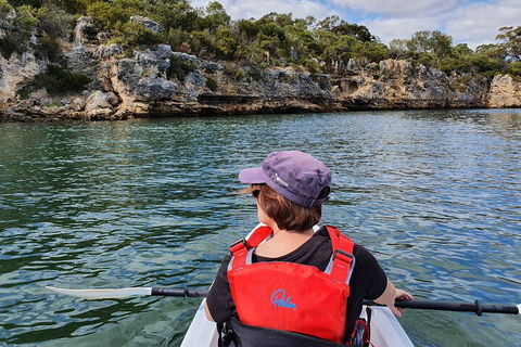 Cliffs And Caves Kayak Tour In Swan River - Restaurant Gold Coast 0