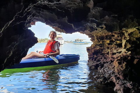 Cliffs And Caves Kayak Tour In Swan River - Restaurant Gold Coast 1