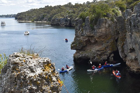 Cliffs And Caves Kayak Tour In Swan River - Restaurant Gold Coast 5