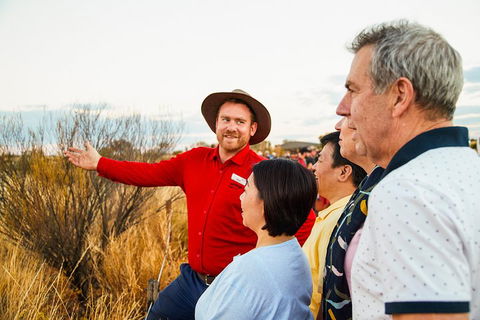 Uluru (Ayers Rock) Sunset With Outback Barbecue Dinner And Star Tour - Restaurant Gold Coast 3