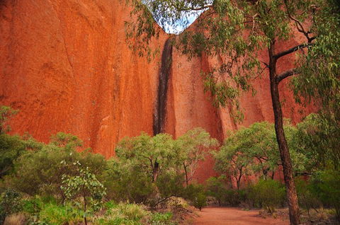 Uluru Sunrise And Guided Base Walk - Restaurant Gold Coast 3