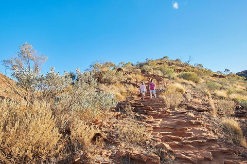 Kings Canyon Guided Rim Walk - Restaurant Gold Coast 1
