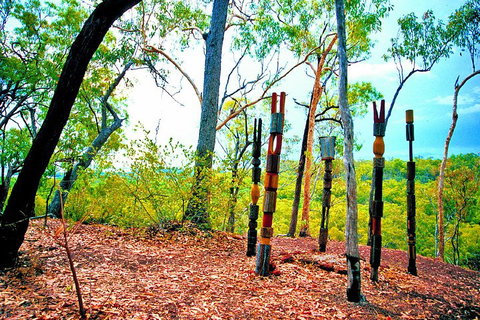 Tiwi Islands Cultural Experience From Darwin Including Ferry - Restaurant Gold Coast 3