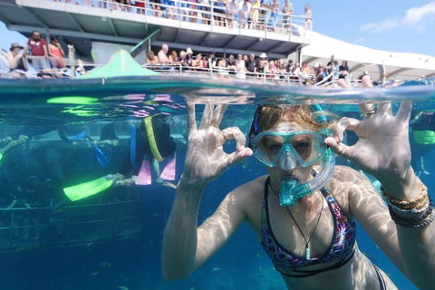 Great Barrier Reef Day Cruise From Cairns Including Snorkeling And Marine Biologist Presentation - Restaurant Gold Coast 0