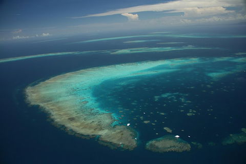 Great Barrier Reef Day Cruise From Cairns Including Snorkeling And Marine Biologist Presentation - Restaurant Gold Coast 1
