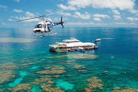Great Barrier Reef Day Cruise From Cairns Including Snorkeling And Marine Biologist Presentation - Restaurant Gold Coast 5
