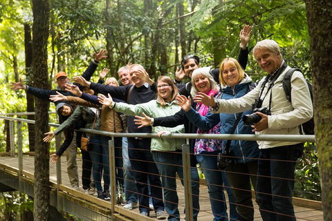 All Inclusive Blue Mountains Small-Group Day Trip From Sydney - Restaurant Gold Coast 5
