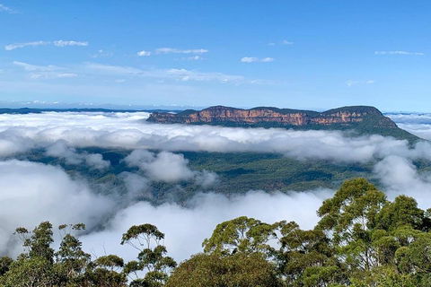 Small-Group Blue Mountains Tour With A Local Guide - Restaurant Gold Coast 4
