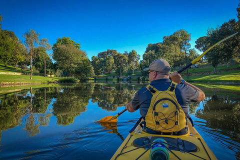 Adelaide City Kayak Tour - Restaurant Gold Coast 5