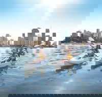 Brisbane Kayak Tour - Restaurant Gold Coast