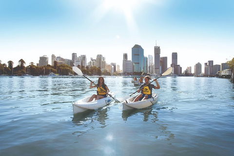 Brisbane Kayak Tour - Restaurant Gold Coast 0