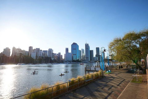 Brisbane Kayak Tour - Restaurant Gold Coast 1