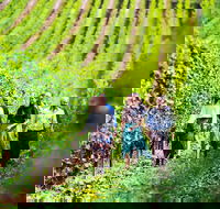 Tasmanian Wine Tour - Restaurant Gold Coast