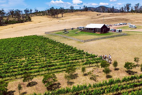Tasmanian Wine Tour - Restaurant Gold Coast 3