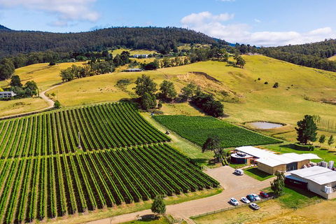 Tasmanian Wine Tour - Restaurant Gold Coast 4