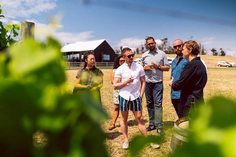 Tasmanian Wine Tour - Restaurant Gold Coast 5
