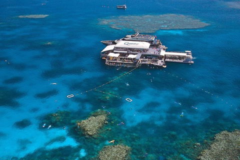 Quicksilver Outer Great Barrier Reef Snorkel Cruise From Palm Cove - Restaurant Gold Coast 1
