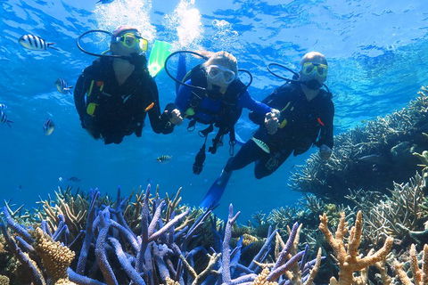 Quicksilver Outer Great Barrier Reef Snorkel Cruise From Palm Cove - Restaurant Gold Coast 3