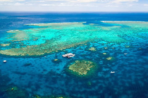 Quicksilver Outer Great Barrier Reef Snorkel Cruise From Palm Cove - Restaurant Gold Coast 4