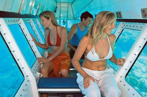 Quicksilver Outer Great Barrier Reef Snorkel Cruise From Palm Cove - Restaurant Gold Coast 5