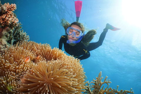 Quicksilver Outer Great Barrier Reef Snorkel Cruise From Port Douglas - Restaurant Gold Coast 2