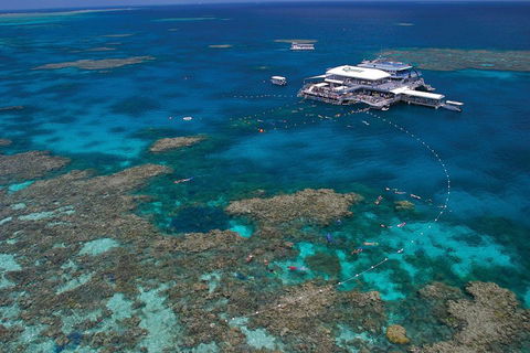 Quicksilver Outer Great Barrier Reef Snorkel Cruise From Port Douglas - Restaurant Gold Coast 3
