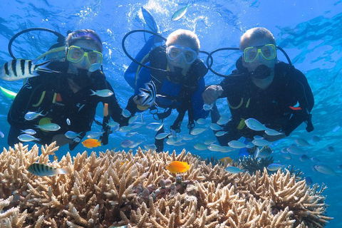 Quicksilver Outer Great Barrier Reef Snorkel Cruise From Port Douglas - Restaurant Gold Coast 4