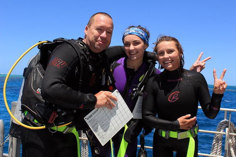 Quicksilver Dive 4 Day PADI Learn To Dive Course - Restaurant Gold Coast 0