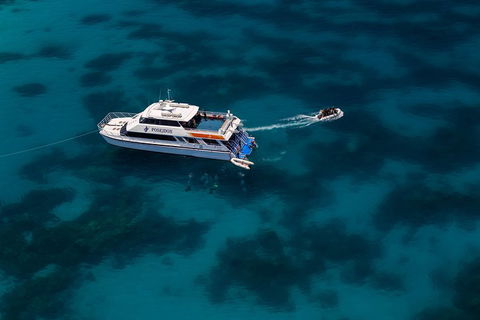 Quicksilver Dive 4 Day PADI Learn To Dive Course - Restaurant Gold Coast 1