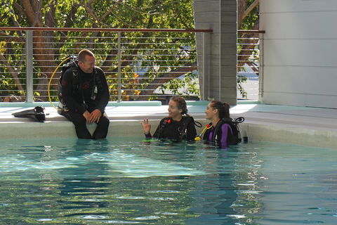 Quicksilver Dive 4 Day PADI Learn To Dive Course - Restaurant Gold Coast 3