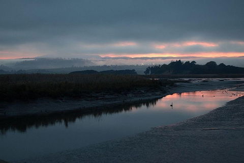 Launceston Private Charter Service - Restaurant Gold Coast 1