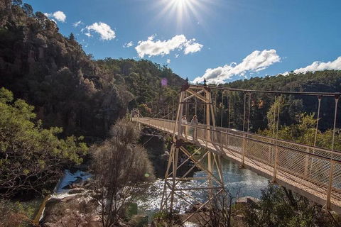 Launceston Private Charter Service - Restaurant Gold Coast 5