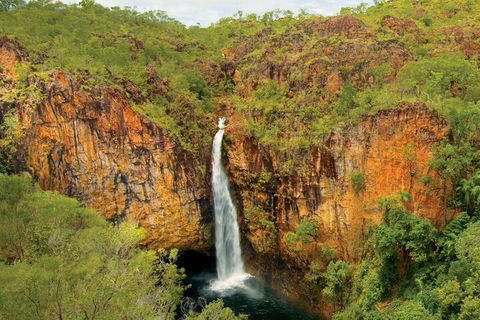 7 Days Darwin, Kakadu National Park, Katherine Gorge Touring Package - Restaurant Gold Coast 3