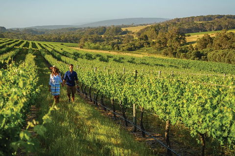 6 Days Perth All-Inclusive Touring Package With Wildflowers ( Seasonal) - Restaurant Gold Coast 4