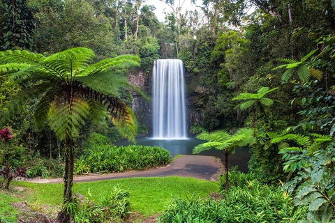 Cairns & Port Douglas All-Inclusive 7 Days Touring Package - Restaurant Gold Coast 2
