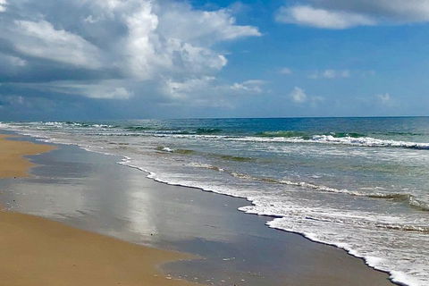3 Nights 2 Full Days Private Guided Tour Of The Sunshine Coast And Hinterland - Restaurant Gold Coast 4