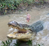 Top End Waterfalls and Wetlands - Restaurant Gold Coast