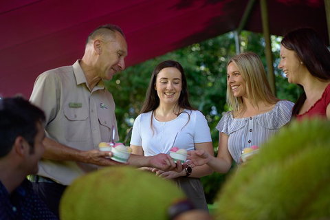 Daintree And Cape Tribulation Tour From Cairns - Restaurant Gold Coast 5