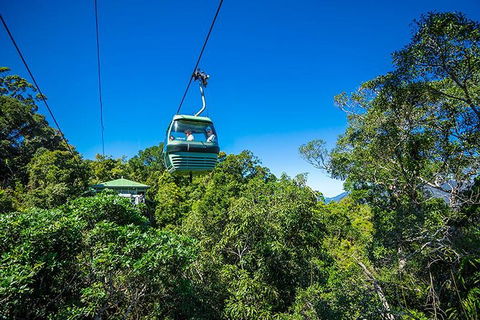 Skyrail Rainforest Cableway Day Trip From Cairns - Restaurant Gold Coast 1
