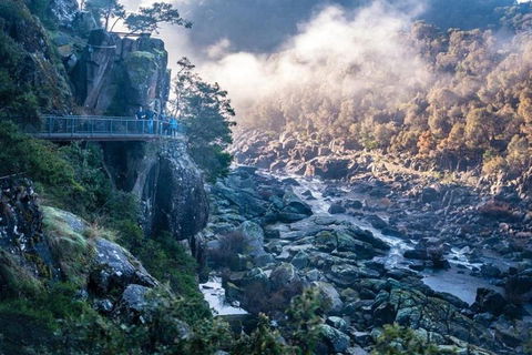 3.5 Hours Walking Tour To Cataract Gorge With Local Guide - Restaurant Gold Coast 1