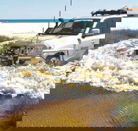 Full-Day Moreton Island 4x4 Sightseeing Tour - Restaurant Gold Coast