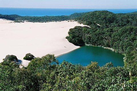 Full-Day Moreton Island 4x4 Sightseeing Tour - Restaurant Gold Coast 5