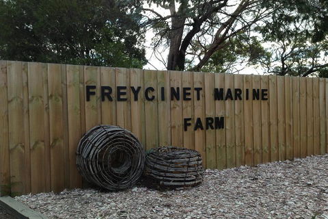 Active Day Tour One-Way From Launceston To Hobart Via Wineglass Bay - Restaurant Gold Coast 3