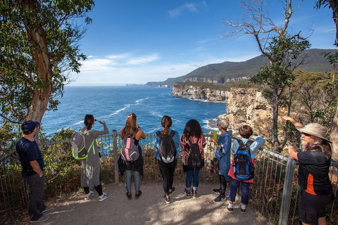 Port Arthur And Lavender Active Day Tour - Restaurant Gold Coast 0