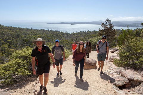 3-Day Tasmania Combo: Launceston To Hobart Active Tour Including Cradle Mountain, Freycinet National Park And Port Arthur - Restaurant Gold Coast 5