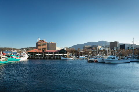 Hobart City Sightseeing Tour Including MONA Admission - Restaurant Gold Coast 0